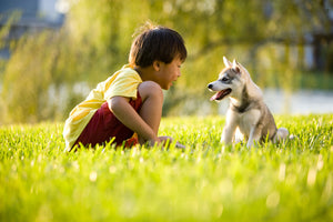 Lyme Disease Part 5:  Lyme in Children and Pets