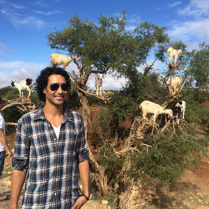 Why are the Goats in Trees...Moroccan Elixir Story